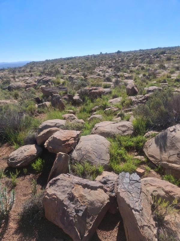 0 Bedroom Property for Sale in Murraysburg Western Cape